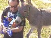 yodelin for the donkeys